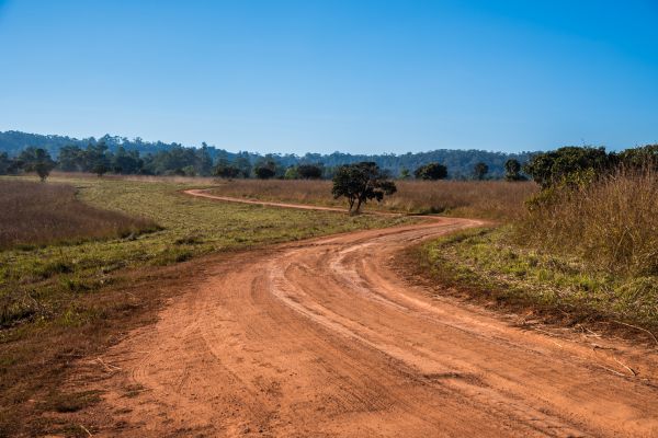 Dirt Driveway Repair in Decatur